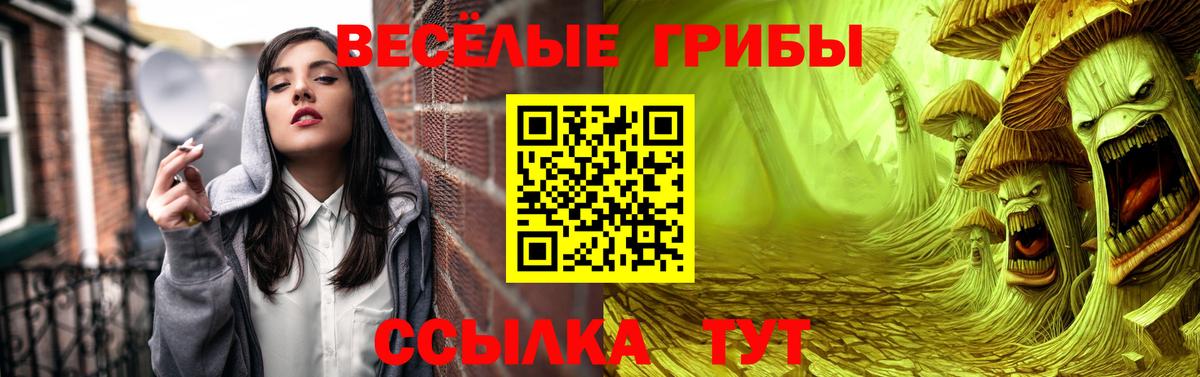 Псилоцибиновые грибы мухоморы Берёзовский