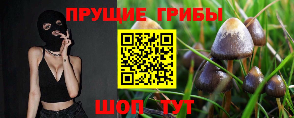 Галлюциногенные грибы MAGIC MUSHROOMS  Вход с VPN  Псилоцибиновые грибы мухоморы  Берёзовский 